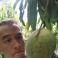 Photos de Forrest Turner