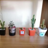 Fotos de Cuenta Perdida