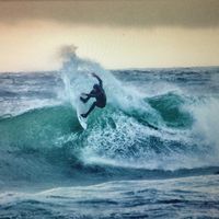 Swain Murray的照片