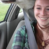 Julia Fischer的照片