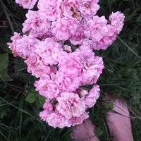 Фотографии пользователя Ann P