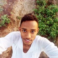 Osama Al-don的照片