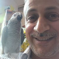 Hatem zainah的照片