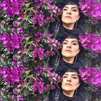 Matamoros Meneses's Photo