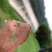 Lil Wa Mohd的照片