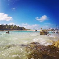 Jose Manuel Almanzar's Photo