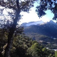 gabriel munar llull's Photo