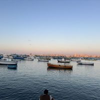 Ibrahim Bakkar's Photo