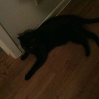 Andrew Byram's Photo