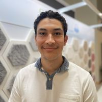 Fotos von Francis Flannery