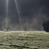 Rebekah Findlay's Photo