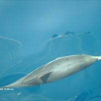 Desiree Tabbers's Photo