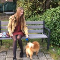 Djuna  Dekelver的照片