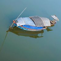 Binh Nguyen的照片