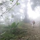 Mt. Dadong Trail's picture