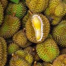 let’s have a durian 🤤's picture