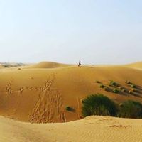 Victoria Paillusseau的照片