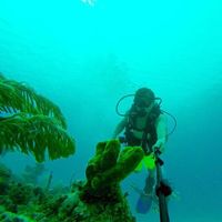 Snaider Hoyos Mahecha的照片