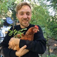 Fotos de Tim Sternkopf