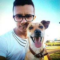 Фотографии пользователя João Paulo Silva