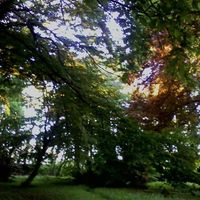 Marjorie Meunier的照片