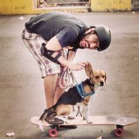 Nicolas Escudero的照片