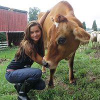 Фотографии пользователя Caro Romano