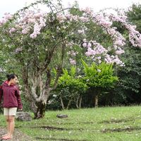 Pipit farida Hamid's Photo