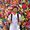 Ricardo Galiano's Photo