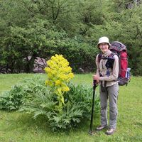 Anna Shishkina's Photo