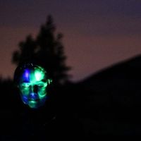 Nuttelina Antonina的照片