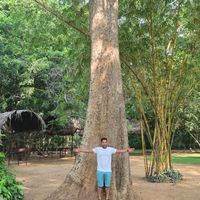 Savio D'Souza的照片