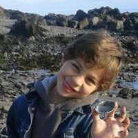 David Fawzy的照片