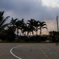 Miguel Angel的照片