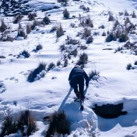 Paulo Henrique's Photo