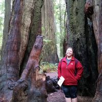 Stacy Oliver的照片