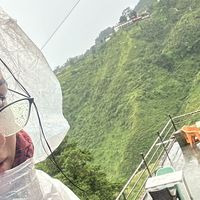 tulip thewanderer's Photo