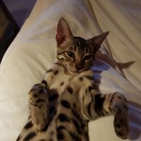 Michaela Rohleder的照片