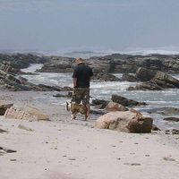 chris bester's Photo