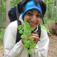 Le foto di Lily Khadempour