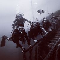 Fotos von Davidson Hium