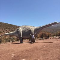 Daniel Montalban's Photo