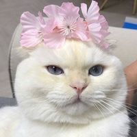 Eduardo de Paula's Photo