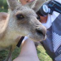 Le foto di Max Schwerzler