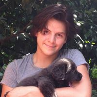 Nicolas Rincon's Photo