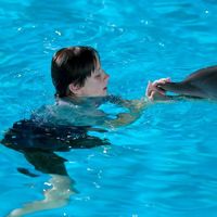 Ahmed Elwazer的照片