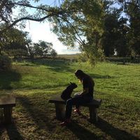 Le foto di Cami Demitrio