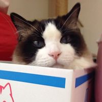 Tatsuya Tomonaga's Photo