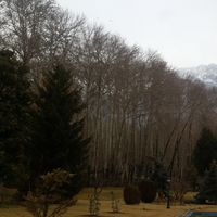 Fotos de ezgi egesel