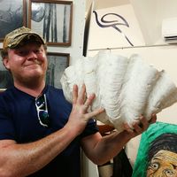 Ross Brady's Photo